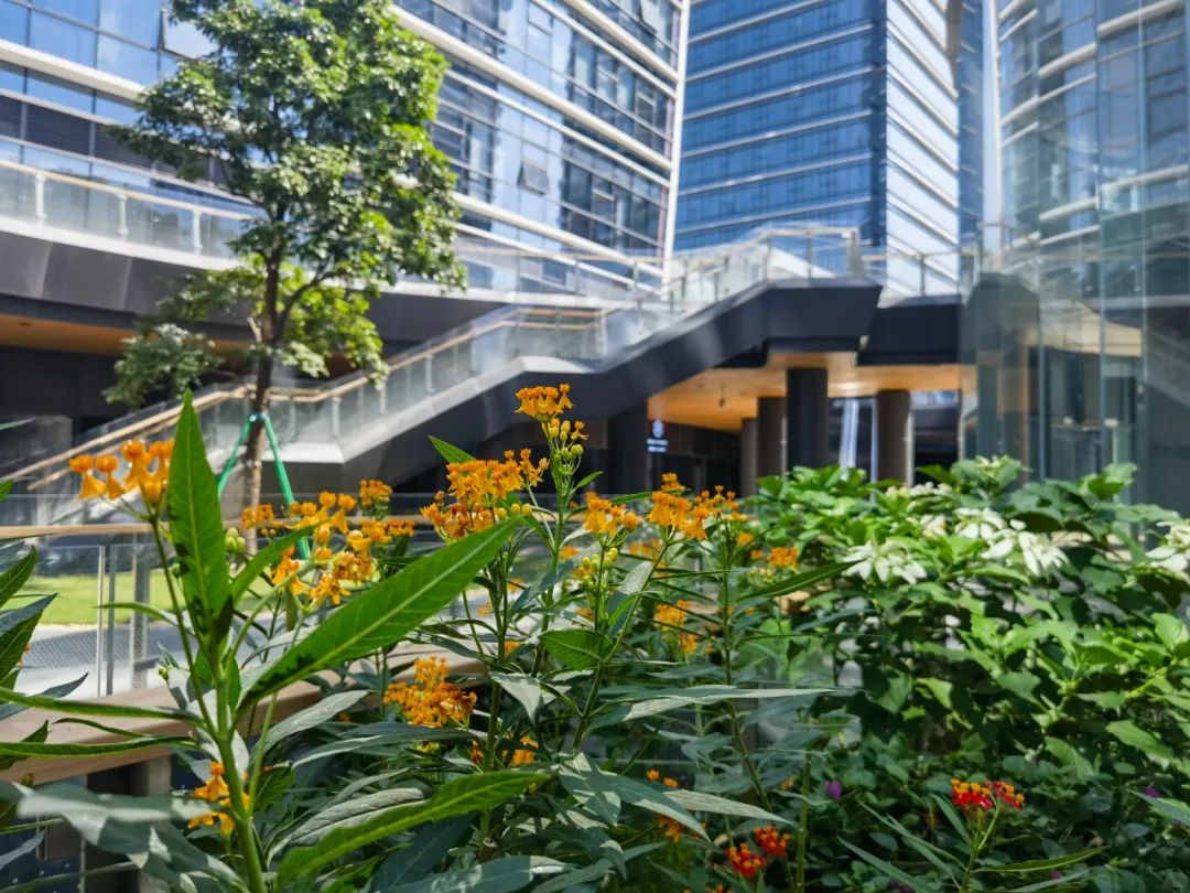 1702954847151427.jpg 6.jpg