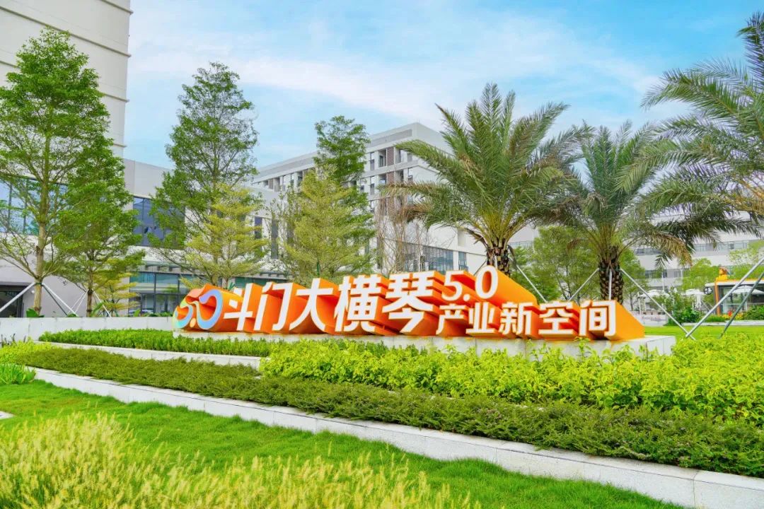 1717124839596855.jpg 10.jpg