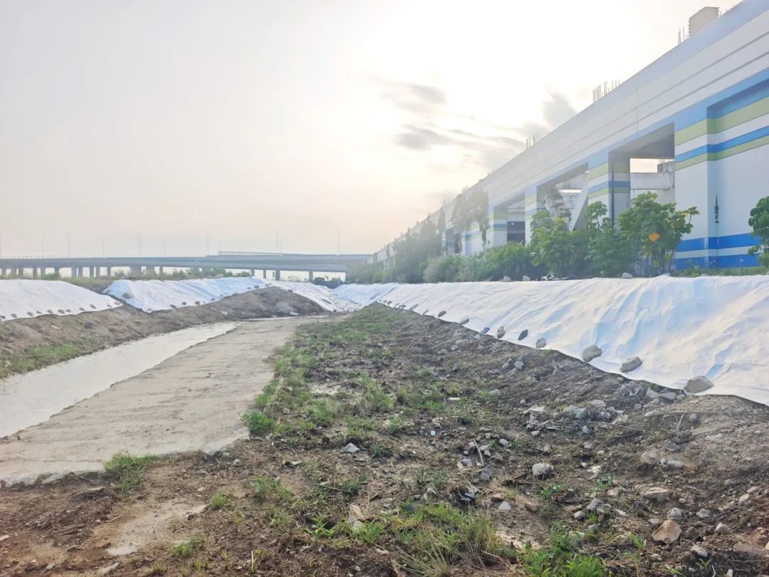 1747296677229460.jpg 13.jpg