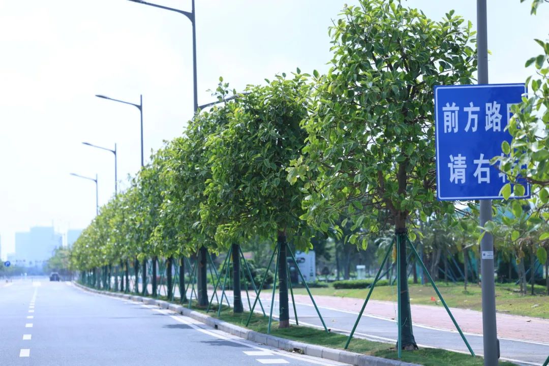 1747296846361426.jpg 19.jpg