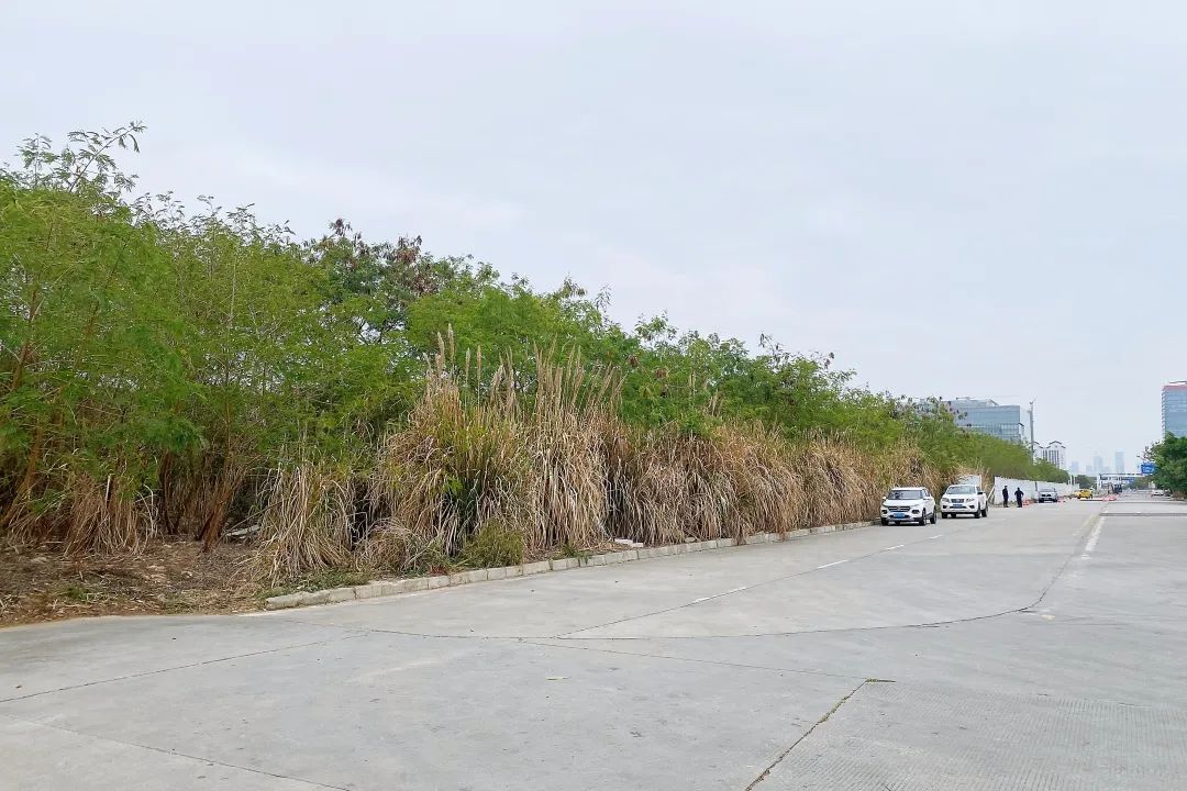 1747296924871567.jpg 23.jpg